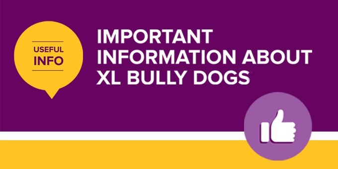 Important information about XL Bully dogs