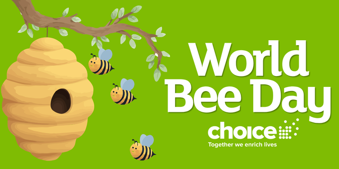 World Bee Day