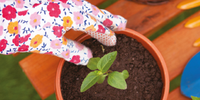 Best Kept Garden Competition 2021 Now Open for Entries!